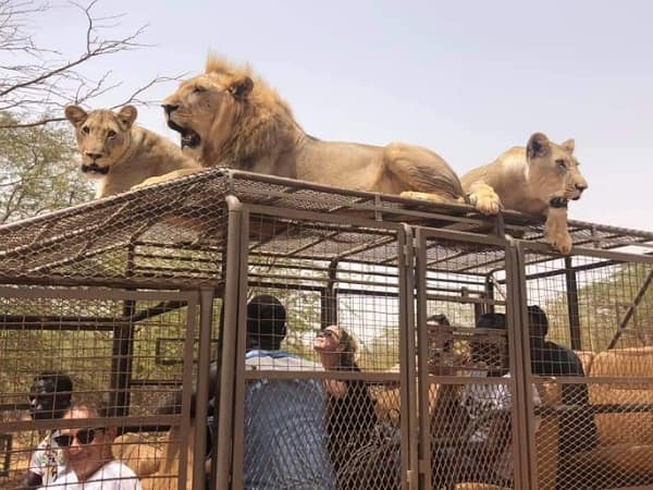 Kabavoyages - Delta Sine-Saloum