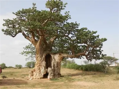 Kabavoyages - Réservation Facile