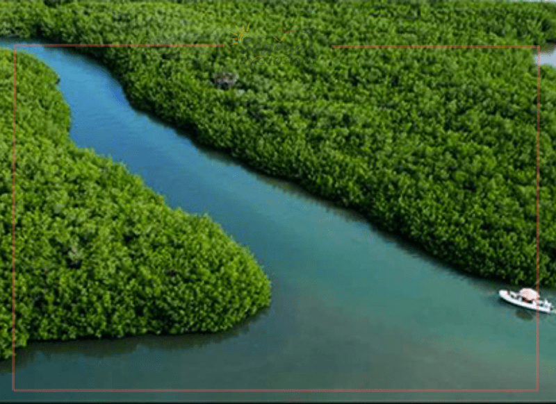 Image 3 de la Lagune de Somone